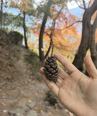 �����ҶKPI�����