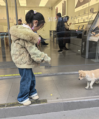 ��12�´��ޡ�С��Ҳ�Ա��׻�