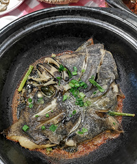 �������ʲô����ҟhɰ��Ҳ����