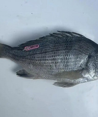 ̨�����ӵ���һ���б�����㣡ӡ�š��㺣��C50���������ҵ���