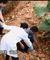 ����������ӽ����Ŵ�բ