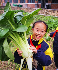 ��QQũ����������ˣ�Ϊ��С��ũ������