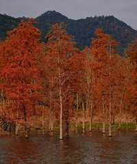 ���һ��ȥ��̶����������