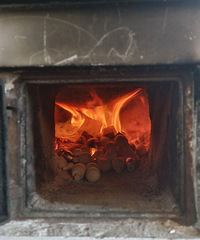 �ҵ����Ż����ö�ö���ʳ����������������