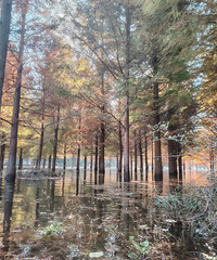 ����ȥ���ҿ���ɼ��Ӧ������ʱ�򣬾͸Ͻ�������