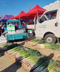 �����㲻���Ҳ���������������ø�����