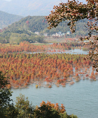 �ψ������֣���������ʱ