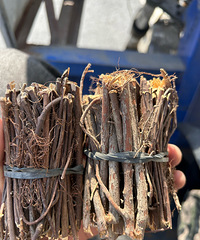 ��������󲿷��˶�����ʶ��