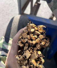 ��������󲿷��˶�����ʶ��