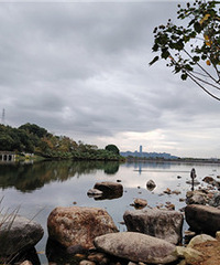 ֲ��԰����