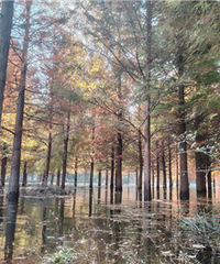 ����ɼ������ʱ��