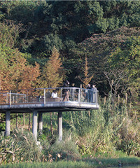 ·������ɽ��԰����̫������