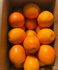 �ܶ������˵����ݽ���ϰ���н�ʶ���