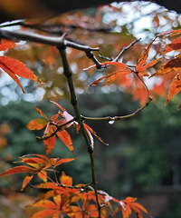 �㽭Ҫ��ѩ�ˣ���-3�棡�б�����