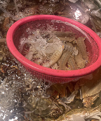 ���ʺ�ʱ�ڣ�̨�ݺ��ʼ۸��ƽ��