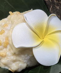 ʲô¿һ̩ϣһ뿧ର跹ĺ