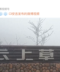 �棡�ģ��£�ѩ���ˣ�