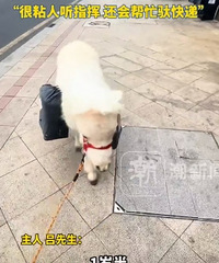 Ů��ϲ��С�����򣬰ְֻ�6���Ů������һƥС��