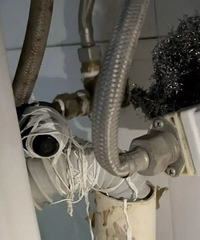 �׶�԰�����䷢��͵������ͷ��������ϵ32����԰�����ҳ��ֻ�