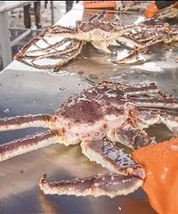 �����ϰ���55�ֺ����з����