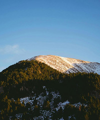 85���������Ҷ�������ӣ��г�·���ϰ࣬�������۹���