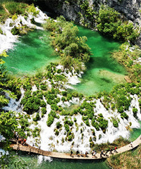 ������ά�ɺ����лƹ����ٲ��緶�о�կ����Ӱ