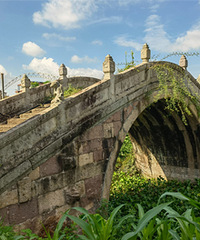 ���������������ţ��������ִ�����