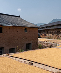 �ɾ����ɽ����ʱ��