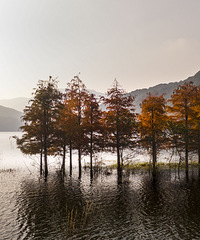 ��ᮺ�����