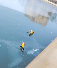 ��߾��裡Ů�������������Ա���������Ԯ