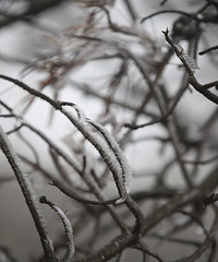 2024��̨��ڡ�������ʡ�����