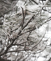 2024��̨��ڡ�������ʡ�����