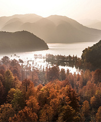 ��ͩ�Ӵ�ͽ����ɽ����ᮣ���;·���ܸ���