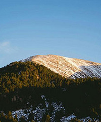 85���������Ҷ�������ӣ��г�·���ϰ�