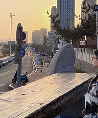 95���д�����ó��ҵ��·���з�