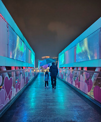 [������]ҹ�ιٺ�ˮ�֣��ƹ��Ư��