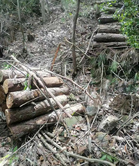 �ٺ���Խ�翳��������᣿278����ľ����֮��