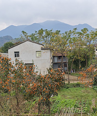 ������ʽ�����Ҷ�����