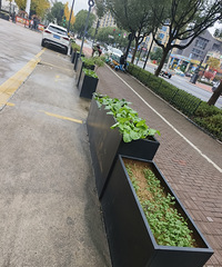 ��̩��ͥ������վ���ϵġ���԰��