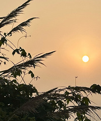 ���ն����������õ�һ��