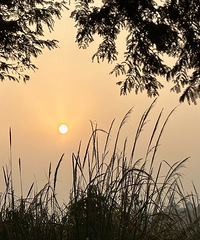 ���ն����������õ�һ��