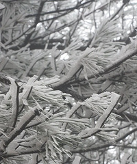 �����׳��������Ѿõ���̨ɽ������ڡ�����ǳ���