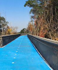 ����ɽ�̵�