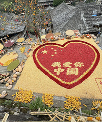 ��Զɽ������