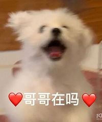 87����Ů����Ʒ��ʵ��82��83��86��ĵ���С���...