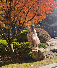 ����ʶ·�ߵĻ�����ľ���Һö��н������Ʋ�Ȼһ��������֪