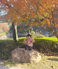 ����ʶ·�ߵĻ�����ľ���Һö��н������Ʋ�Ȼһ��������֪