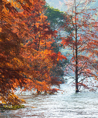 ���ҳ�̶ˮ��ĺ�����