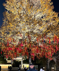 �����쵽�ˣ�����һ���ˣ����߶�һ���˹�������