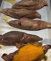 ��������ο����